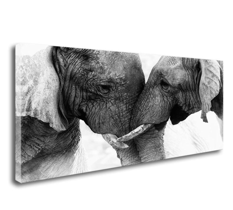 DZL Art D73050 Black and White Elephants Entwine Wall Art Canvas Painting Ready to Hang for Living Room Bedroom Office Wall Decor Home Decoration - Image 1